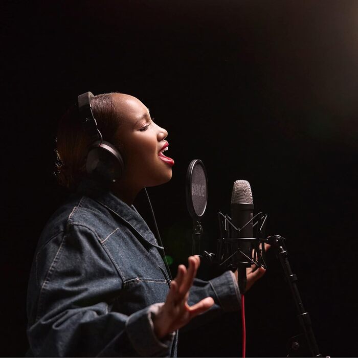 �DE NT1 5 покоління - великий діафрагмовий конденсаторний мікрофон з виходом XLR і USB, мікрофонним павуком і поп-фільтром для муз