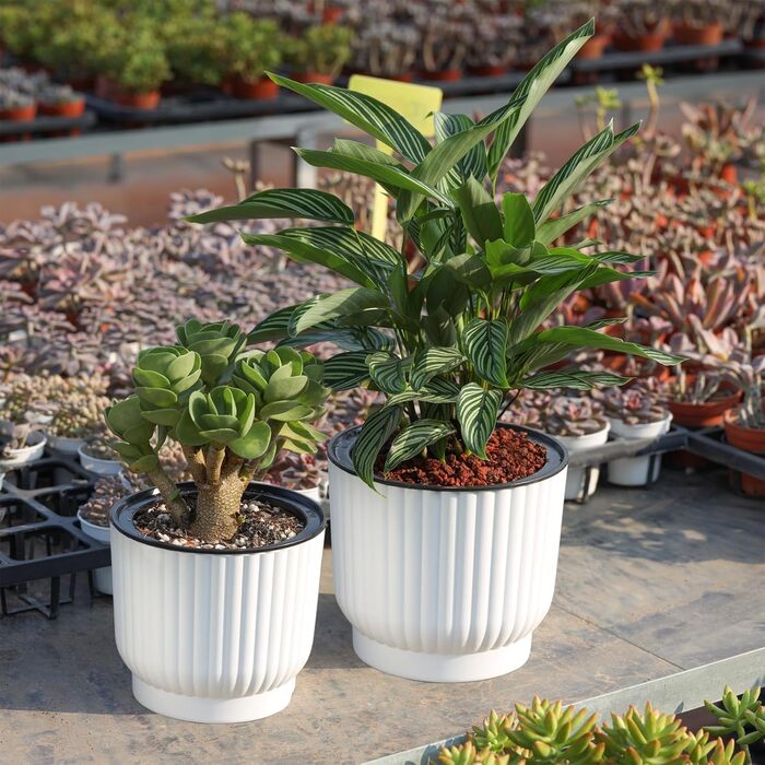 Кашпо для квітів з гнітом пластикове, кашпо для орхідей, кашпо для базиліка, кашпо для квітів малий набір біле набір з 6 шт. Ф12см