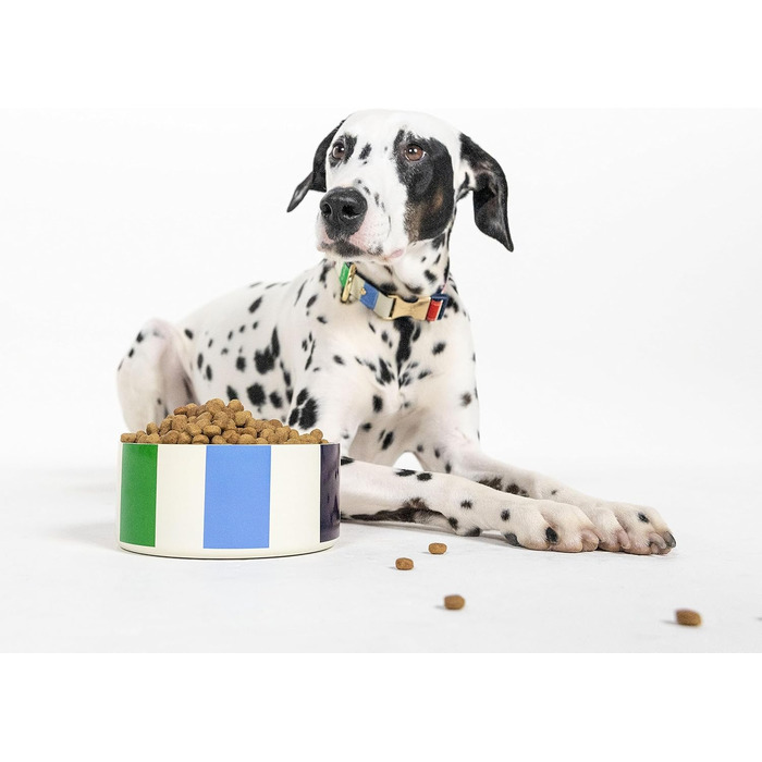 Ошийник для собак Kate Spade New York Adventure Stripe Large, золотиста металева пряжка, регульований розмір 39,4 - 61 см, підходить для собак середнього розміру (унісекс), стильний дизайн.