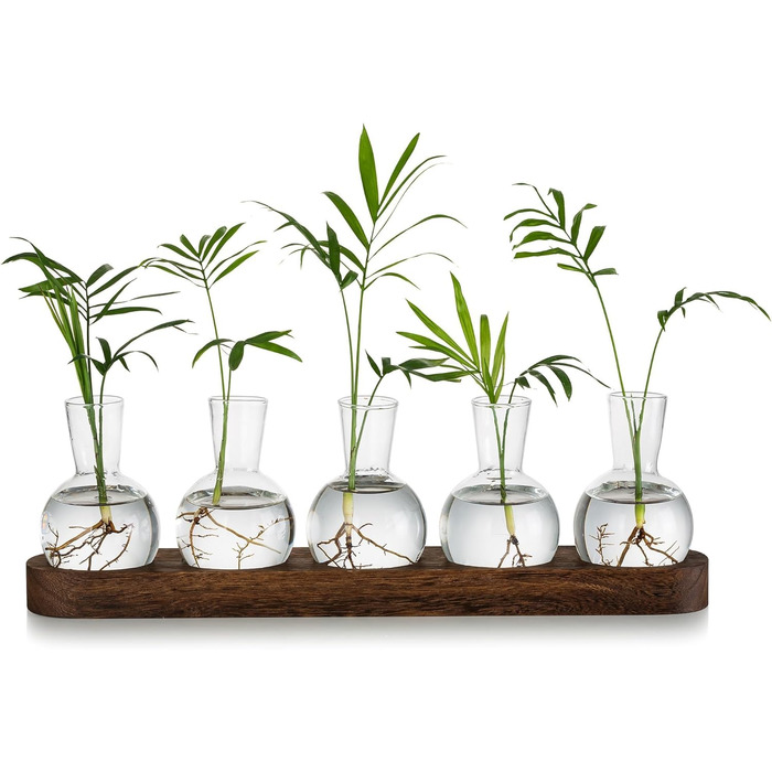 Скляні вази Glasseam Plant Terrarium, Скляна ваза станції розмноження, Маленький набір ваз для квітів, Гідропонічна ваза з дерев'яним піддоном, Настільні деко вази, Скляний тераріум гідроваза для вітальні, Офісний декор.