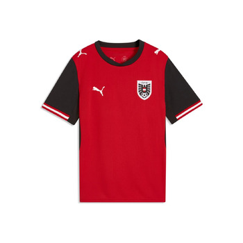 Репліка домашнього джерсі PUMA Boys FB Home Jersey Jr (1 упаковка) 164 Puma Red-puma-black