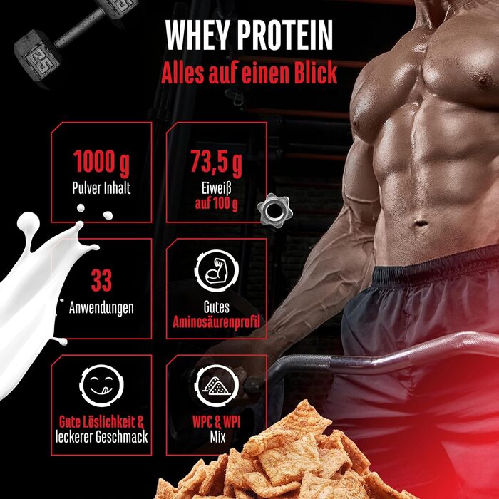 Сироватковий протеїновий порошок German Elite Nutrition, 1000 г, Злаки з корицею