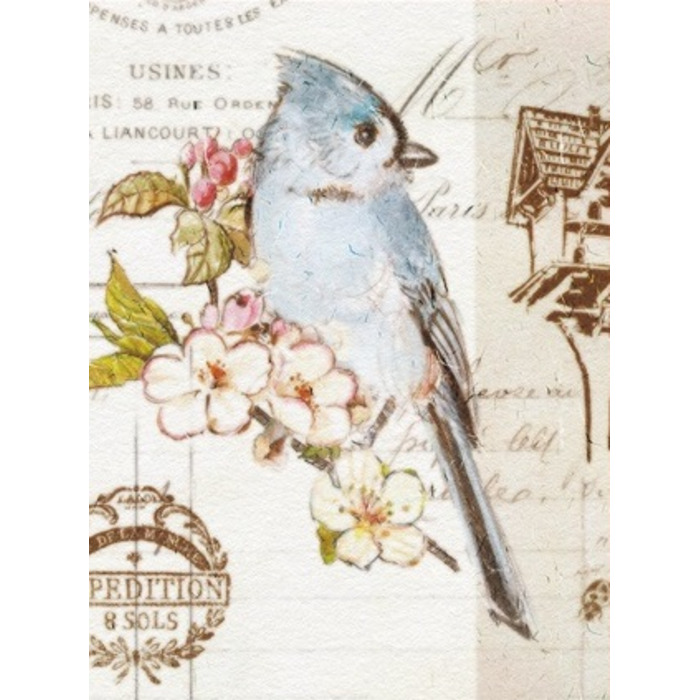 Фотоальбом UFO 20sheet S22x32 Bird (6979071)
