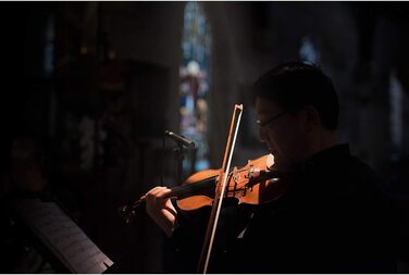 �DE TF-5 Два малих діафрагмових конденсаторних мікрофони (узгоджена пара) для запису оркестрової музики та музичного продакшну