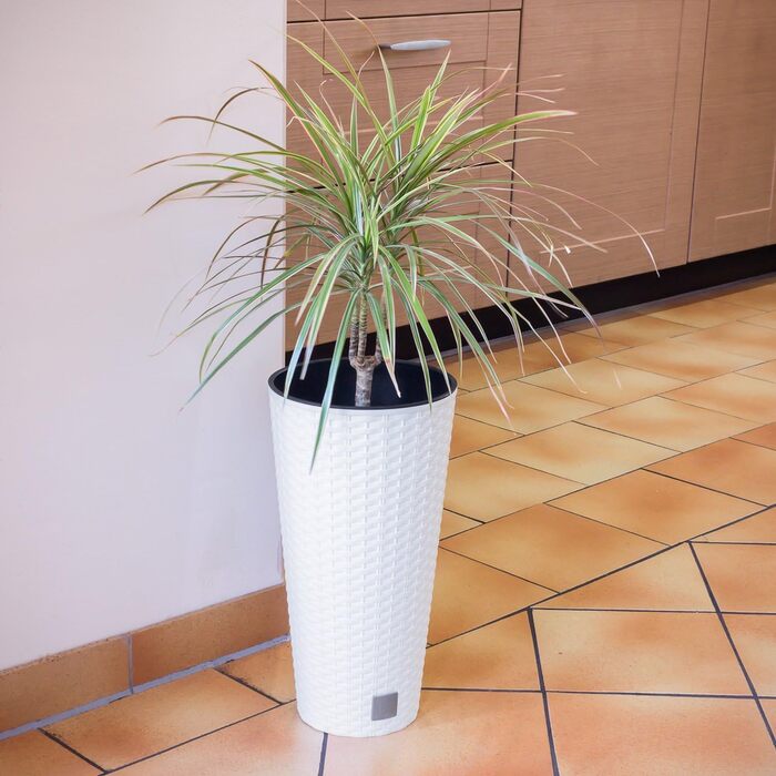 Каструля Time Cabinet об&39ємом 15,5 літрів зі вставкою 25 x 25 x 47,6 см білого кольору