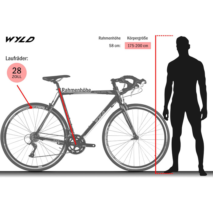Велосипед WYLD Racing 28&39&39 Whirlwind 200 чорно-фіолетовий 18 передач 60 см