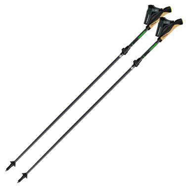Палиці для скандинавської ходьби Gabel Springbok XTS (7009400600000)