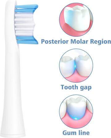 Змінні щітки підходять для щіток Oral-bPulsonic Насадки для щітки змінні насадки для щітки біла 10 біла, 10 шт.