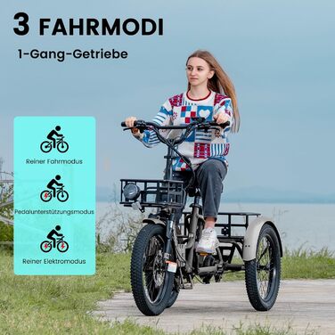 Складаний електровелосипед MOONCOOL, 20-дюймовий електровелосипед для чоловіків та жінок з акумулятором 36 В 20 Аг, двигуном 250 Вт, РК-дисплеєм, швидкістю 25 км/год, запасом ходу 167 км, IP65, 45 м/год електровелосипед з великими кошиками, сланцево-сірий