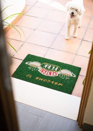 Килимок Grupo Erik Coconut Mat Friends Central Perk - Килимок для вловлювання бруду 40x60 см - Веселий килимок - Килимок для дверей для приміщень 40 x 60 см (прямокутний) Central Perk