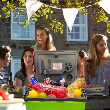 Літровий холодильник 2-в-1 Електричний холодильник Сумка-холодильник Ізольована сумка Термобокс Ящик для підігріву Автомобільний Кемпінговий Термохолодильник Gora Grey/Gilmo Green, 30-