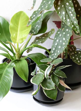 Набір з 3 керамічних квіткових горщиків, діаметром 111317 см, набір для невеликих кашпо, квітковий горщик для кімнатних рослин з блюдцем та дренажним отвором, чорний