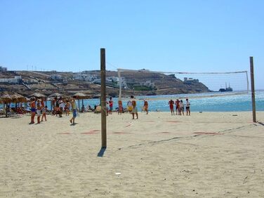 Волейбольна сітка (змінне полотно) VEVOR зі сталевим тросом, 90 x 90 см, для міні-волейболу, басейну, заднього двору