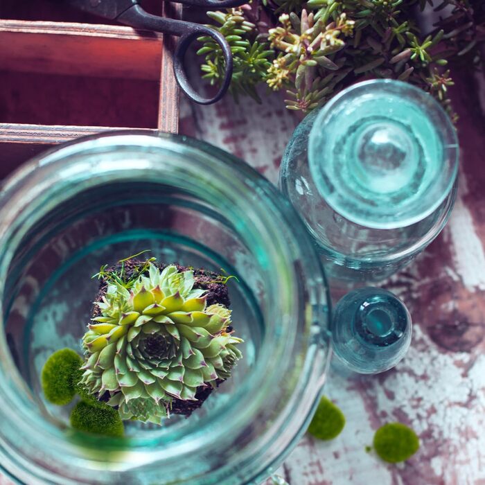 Мохові камені штучний зелений декор штучний мох кульки декор мохові кульки мох камені декор штучні камені зелені рослини декор для садових тераріумів декоративні камені мохові камені штучний мох, 8 шт.