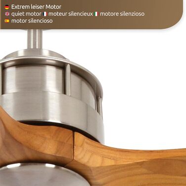 Стельовий вентилятор Akmani, вентилятор в комплекті з пультом дистанційного керування, сучасний стельовий вентилятор з 3 лопатями