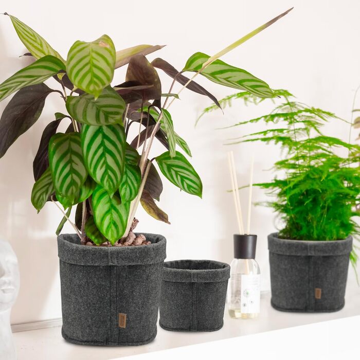 Кошик Miqio Design Premium Felt - Круглі кошики для зберігання - Набір з 3 шт. - Кошик для рослин - Квітковий горщик - Сертифіковано Oeko-Tex - Складаний органайзер для всіх кімнат - Темно-сірий