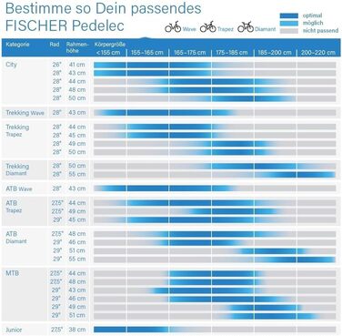 Електровелосипед для чоловіків і жінок FISCHER MONTIS/TERRA 2.1