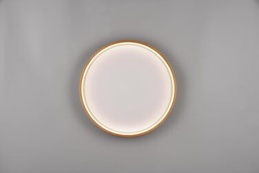Стельовий LED-світильник Trio Leuchten Doha 641310208, матова латунь, акрил, LED 29 Вт