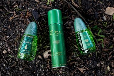 Чоловіча туалетна вода Pino Silvestre Original (125 мл)