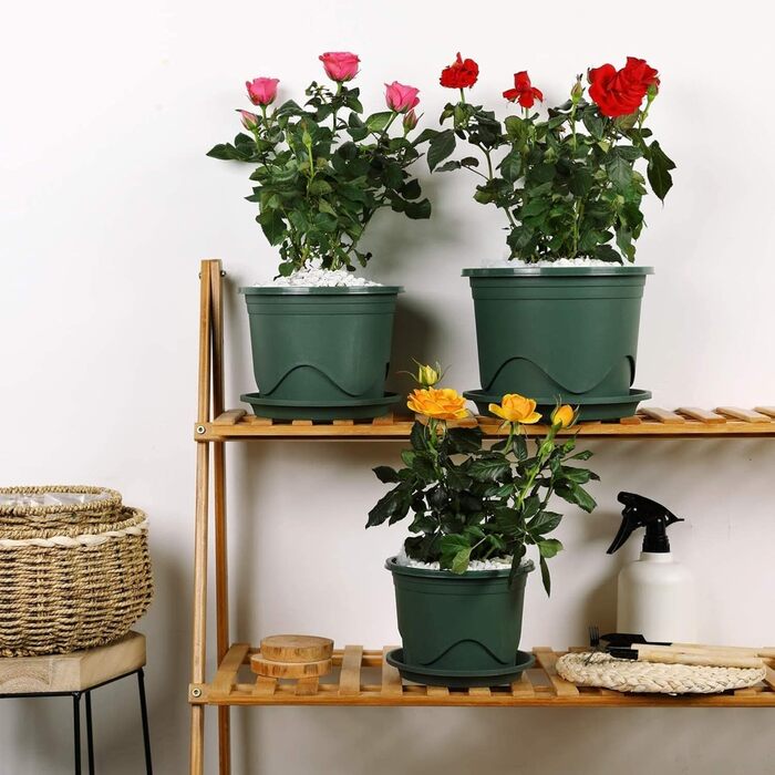Набір із 6 пластикових горщиків для рослин KAHEIGN, квіткові горщики 22 см з блюдцями, пластикові горщики для розсади, горщики для трав, декоративні для використання в приміщенні та на вулиці (зелені)