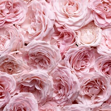 Парфумерна вода Escada Especially, свіжий квітковий аромат для гламурних жінок, 30 мл (1 упаковка)