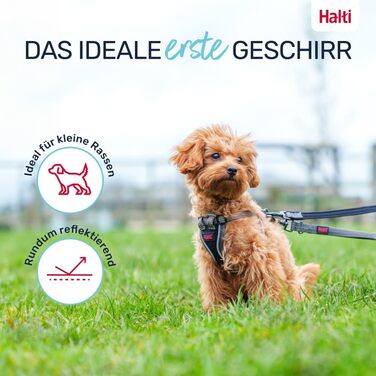 Шлейка HALTI Anatomy для цуценят свобода рухів та комфорт для вашого малюка. Легко одягається завдяки 4 точкам регулювання. Підходить для дрібних порід собак (розмір XXS, сірий)