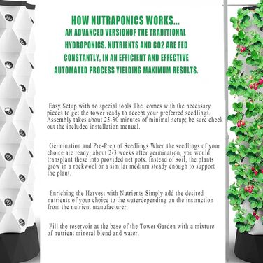 Набір для аеропоніки для вирощування трав, фруктів і овочів з гідратаційним насосом, адаптером, горщиками для сітки, Tim