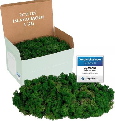 Ісландський мох збережений темно-зелений Прикраса з моху для рукоділля 1 кг справжнього декоративного ісландського моху для малюнків з моху та стін з моху