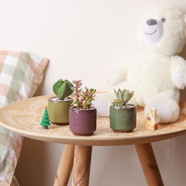 Керамічні горщики для сукулентів Кактус горщики міні квіткові горщики Ice Crack Taller серія 6 кольорів набір з блюдцем, 4U 6,3