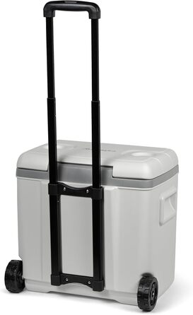 Бокс-холодильник з колесами, 30 літрів, білий, 30 Roller