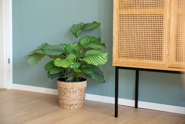 Декоративний набір з 3 круглих плетених квіткових горщиків з морської трави з пластиковими вставками для посадки - горщики для рослин - 16 см 20 см 26 см