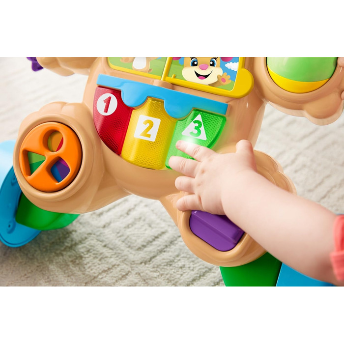 Стандартна упаковка, 83 Fisher-Price Learning Fun Puppy Baby Walker