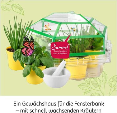 Набір для експериментів Herb Garden KOSMOS, вирощування трав