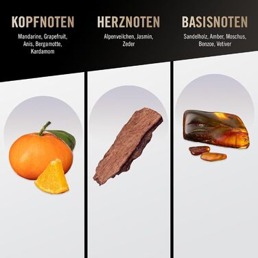 Туалетна вода Bruno Banani Pure Man (50 мл)