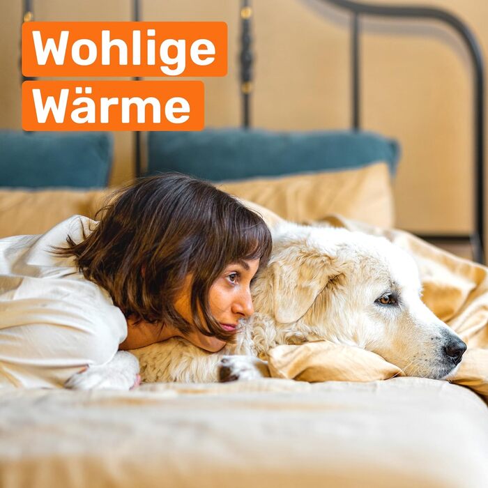 Інфрачервоний обігрівач ECOSHARK з термостатом 800 Вт Білий ЗБЕРЕЖІТЬ ВИТРАТИ НА ЕНЕРГІЮ - вкл. пульт дистанційного керування - Електричний обігрівач, сумісний з системою Розумний дім, для площі 13-20 м - Окремостоячий/Настінний (сертифікований TV) 800 Вт