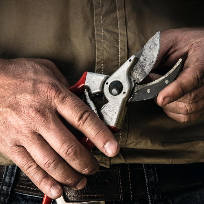 Професійні садові ножиці FELCO 2 з двостороннім механізмом для правшів, лезо із загартованої сталі 41 мм, ковані алюмінієві ручки, міцний інструмент для середніх та великих рук, ріжуча здатність 25 мм, зроблені у Швейцарії, FELCO 2 Large Hands (L)