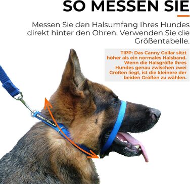 Антитягнучий нашийник-шлейка для собак Мяко та ефективно зупиняє тягу на повідку Допоміжний засіб для спокійних прогулянок Розмір 6, Ліловий. Обхват шиї 48-53 см Розмір 6