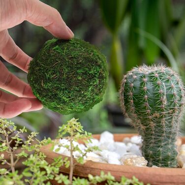 Кульки із сухого моху Камені з штучного моху Кулька з акваріумного моху Зелений мох для виготовлення булочок Зелені кульки з моху Підвісні кульки Кулька Соковитий наповнювач із сухого моху, 6 шт.