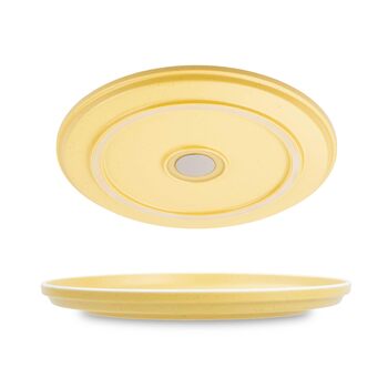 Магнітні тарілки silwy DOLOMIT Набір з 2 шт. Ø 25 см Магнітні пластикові тарілки з протиковзким кільцем Для автофургонів, кемпінгу та човнів Стійкі до ударів, нековзні та стильні Зроблено в Німеччині, жовтого кольору
