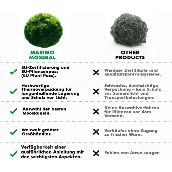 Ук моху, акваріумний мох, справжні мохові кульки для акваріумів, справжня кладофора, натуральні водні рослини для нано- та великих акваріумів, екологічно чисті та стійкі розміри кульок Marimo Moss Balls. 2-3 см, 1