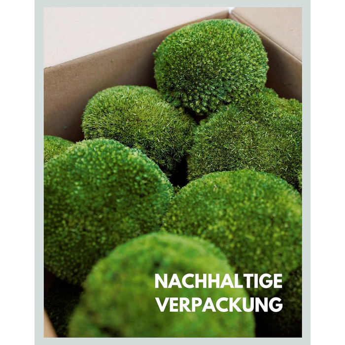 Шаровий мох зберігся Справжній мох для малюнків моху Міцний мох для рукоділля Водостійкий натуральний зелений ісландський мох (250г)