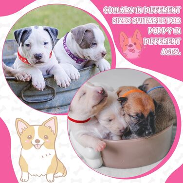 Комплект нашийник та повідця для собак JieyueJewelry (36 шт.), з швидкознімною застібкою, регульований, з дизайном Відбитки лап, м'який нейлоновий нашийник для цуценят та маленьких собак