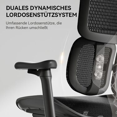 Ергономічне офісне крісло SIHOO з подвійною динамічною поперековою опорою, робоче крісло з 5-позиційною регульованою спинкою, офісне крісло з 4D-координованими підлокітниками (S100 Black) Чорний сучасний