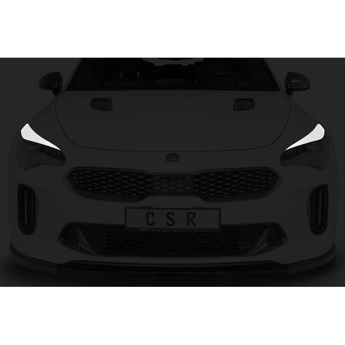 Автомобільні чохли для фар, сумісні з/замінені для Kia Stinger SB296-L