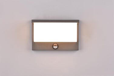 Стічний LED-світильник Trio Leuchten Nestos 240969142, алюміній (антрацит), білий пластиковий плафон, 13 Вт, з датчиком руху