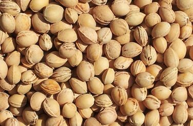 Подушка для шиї зі стійкою, темно-синя - подушка з вишневих кісточок - подушка для шиї, грілка для шиї та плечей - дуже зручна грілка для шиї