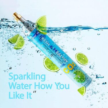 Циліндр 60 л для виробника газованої води, карбонатор преміум-класу, що загвинчується, сумісний із звичайними виробниками газованої води, SodaStream, Aarke тощо, 425 г перероблений різьбовий циліндр * Не для швидкого підключення, 2 шт., CO2