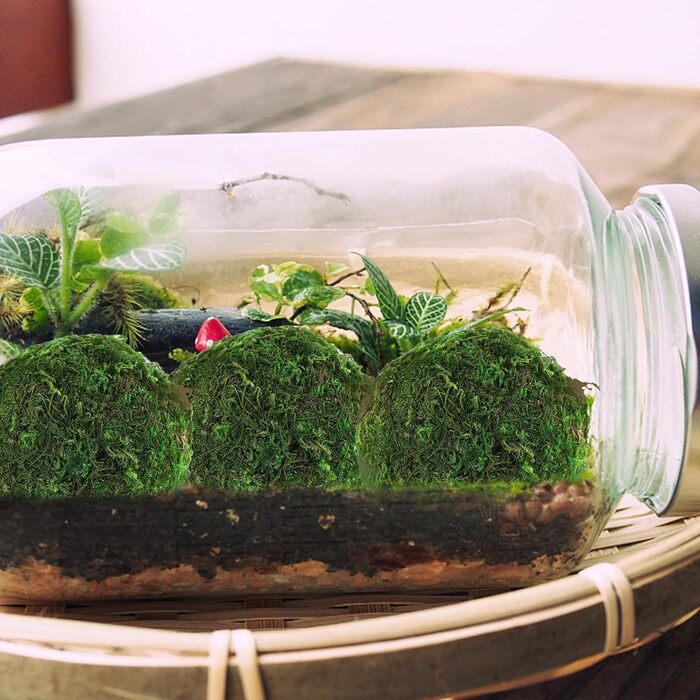 Кульки із сухого моху Камені з штучного моху Кулька з акваріумного моху Зелений мох для виготовлення булочок Зелені кульки з моху Підвісні кульки Кулька Соковитий наповнювач із сухого моху, 6 шт.