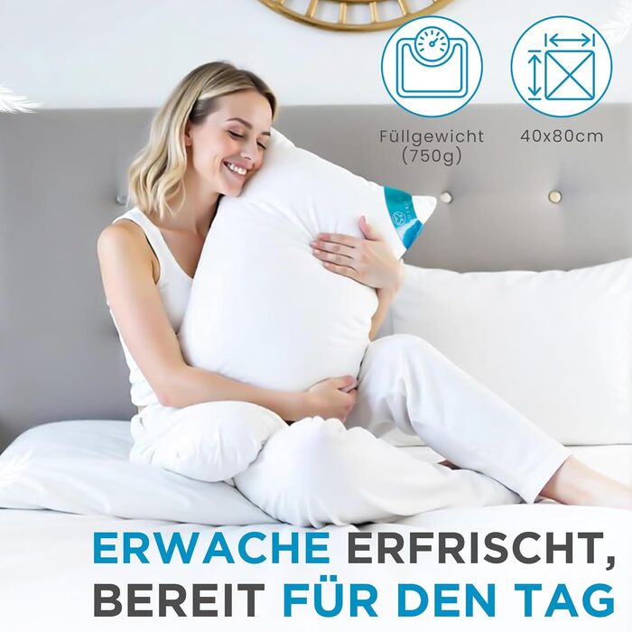 Пухово-пір&39яні подушки, 40x80 см, комплект з 2 шт., 3 камери (750 грамів) - сертифіковано Oeko-Tex 100 натуральний продукт у чохлі з чистої бавовни, подушка для сну Ultra Comfort, 2 шт. (1 упаковка), 3 камери, 40x80 см