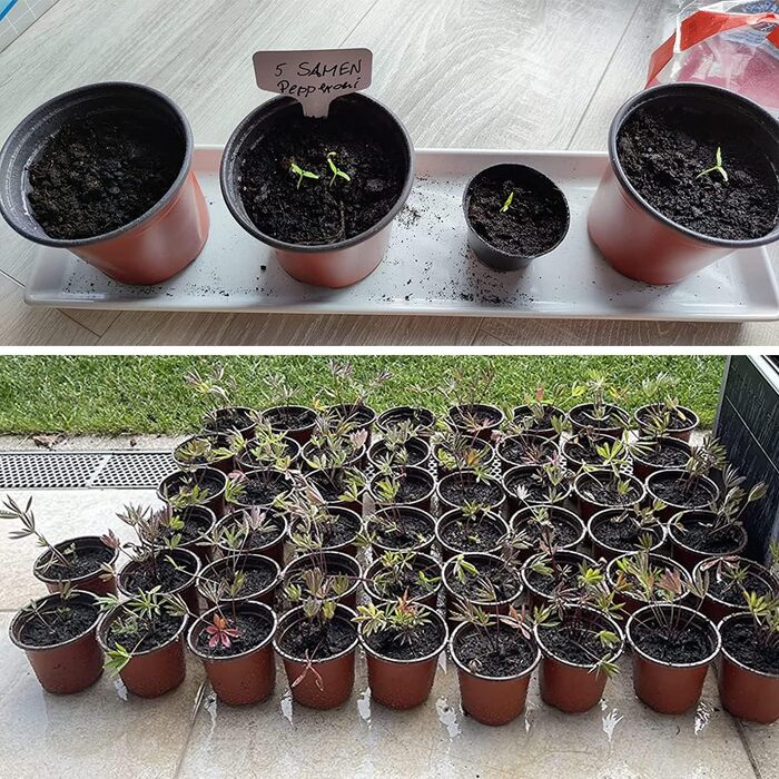 Пластикові горщики для рослин Abimar 10 см, 50 шт. , квіткові горщики для рослин, круглі горщики для вирощування з етикетками для